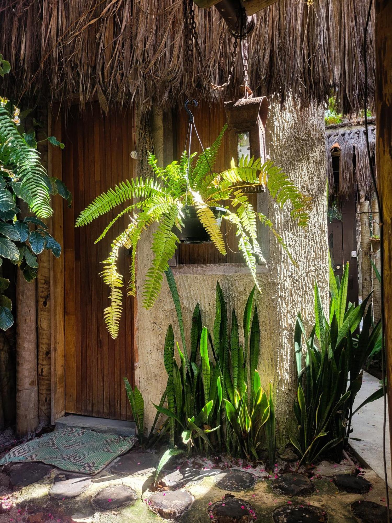 Pousada Raiz Forte Caraíva Exterior foto